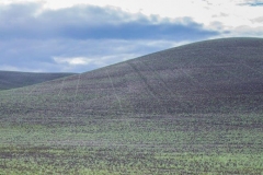 16MAY16 Palouse 1