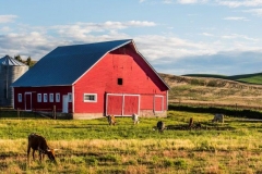 16MAY16 Palouse 2
