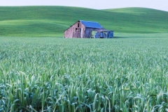16MAY16 Palouse 5