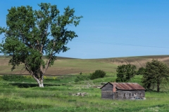 17MAY16 Palouse 10