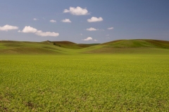 17MAY16 Palouse 12