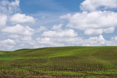 17MAY16 Palouse 14
