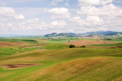 17MAY16 Palouse 17