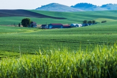 17MAY16 Palouse 7