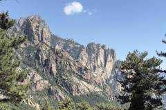 IMG_8234-Medium
