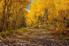 Colorado