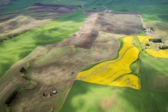 16MAY16 10 Miles S of Pullman WA