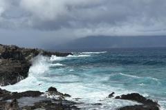 IMG_0056a
