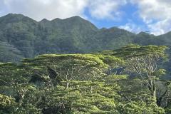 IMG_6026a
