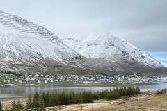 IMG_2859