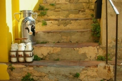 Steps