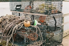 Maine Fishing