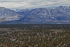 Eastern Sierra