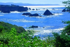 Oregon Coast