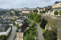 IMG_2010