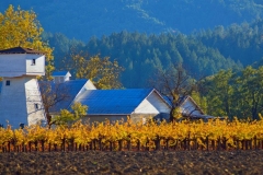 Napa Farmhouse