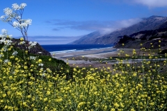 Big Sur