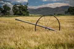 Farm