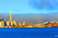 13061705 San Francisco Sunrise