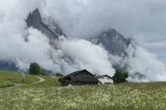 IMG_1609