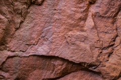 _SCK5392