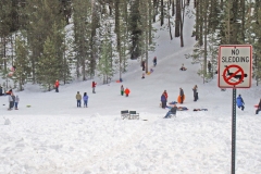 No Sledding